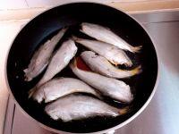 香煎箭扣鱼的做法步骤3