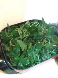 蒜蓉炒薯苗的做法步骤5