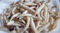 海鲜菇牛柳的做法步骤4
